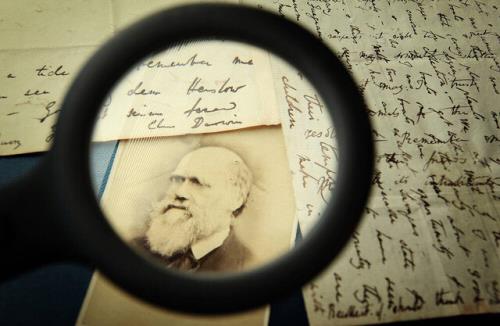 اهمیت نظریه داروین از بعد زیست شناسی