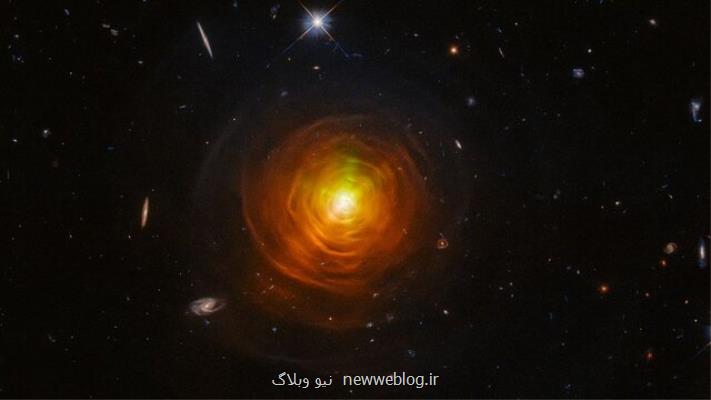 ستاره ای درون یک تار عنکبوت نارنجی