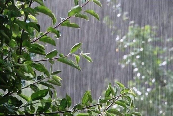 ادامه بارش باران در پایتخت