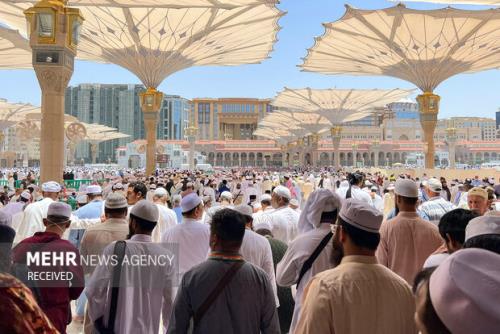 ۳ زائر بیمار در نخستین پرواز حجاج به ایران بازگردانده شدند