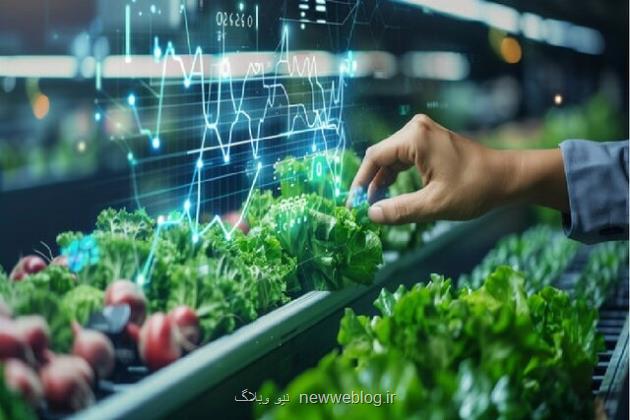 تمدید مهلت فراخوان جذب مروج- پژوهشگر پسادکتری کشاورزی و منابع طبیعی