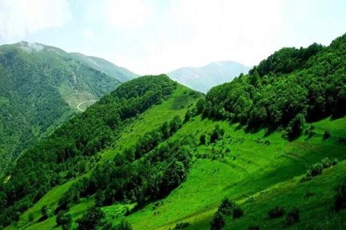 انجام 12 هزار مورد تعقیب قضایی متخلفان منابع طبیعی کشور