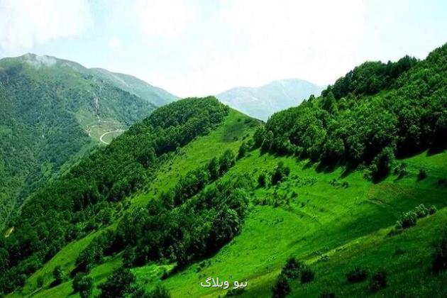انجام 12 هزار مورد تعقیب قضایی متخلفان منابع طبیعی کشور