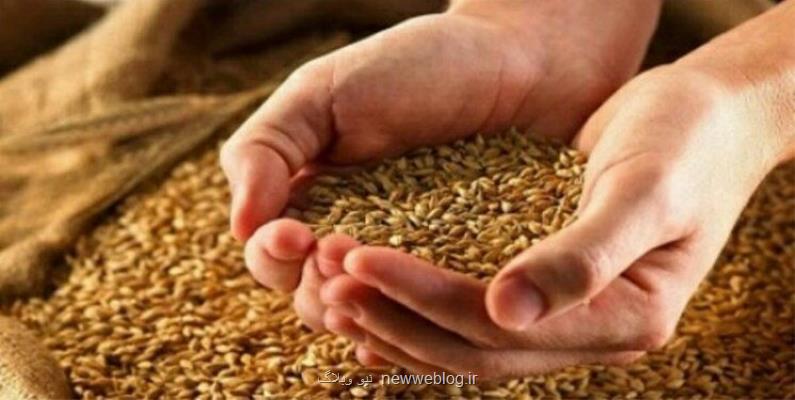 بک اتفاق عجیب درمورد قیمت گندم