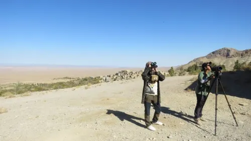 پرندگان شکاری در روستای قلعه بالای بیارجمند پایش می شوند