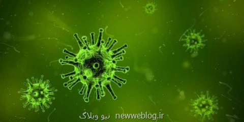 نگرانی محققان درباره یك ویروس خوكی جدید