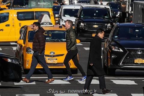 بشر تنها یك صدم درصد از حیات روی زمین را تشكیل می دهد، در ازای هر انسان ۷۵۰۰ گونه گیاه وجود دارد