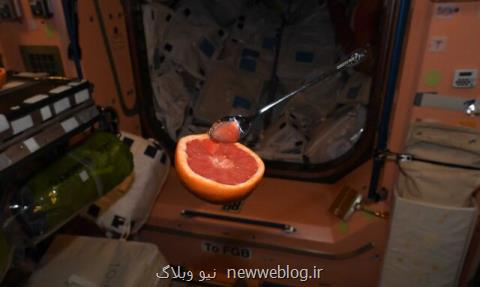 گریپ فروت معلق در فضا بعلاوه عكس