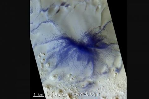 پیدایش یك عنكبوت آبی روی سطح مریخ!