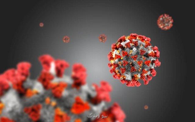 مدلی كه مرگ و میر ناشی از كروناویروس را پیش بینی می كند
