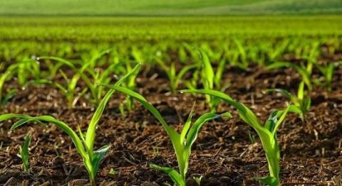 افزایش 200 تا 300 درصد قیمت نهاده های كشاورزی
