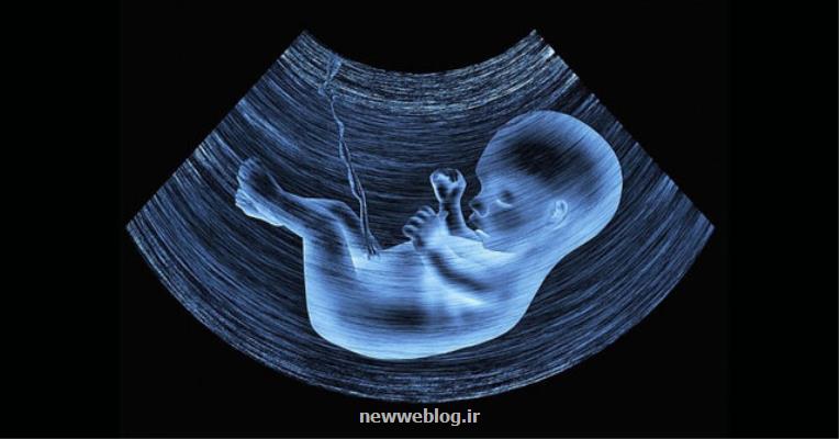 راهیابی میكروپلاستیك ها به درون جفت جنین!